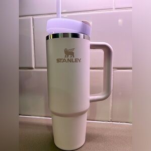 💗 30 oz Stanley cup in blush